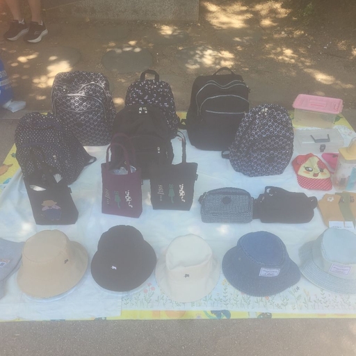 피드 이미지