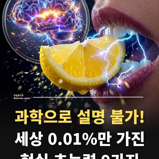 피드 이미지