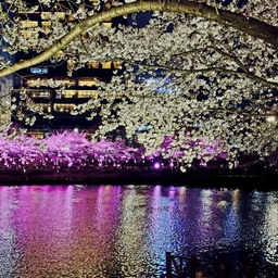 피드에 업로드 된 이미지