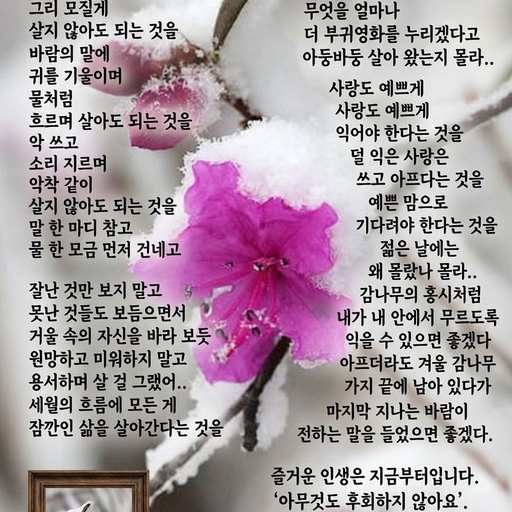 피드 이미지