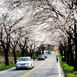 피드에 업로드 된 이미지