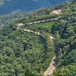 피드에 업로드 된 이미지