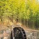 참가 유저 프로필