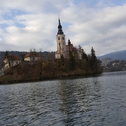 피드에 업로드 된 이미지