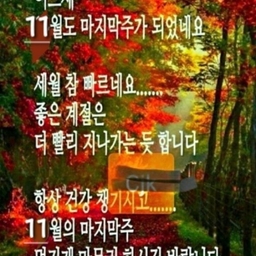 피드에 업로드 된 이미지