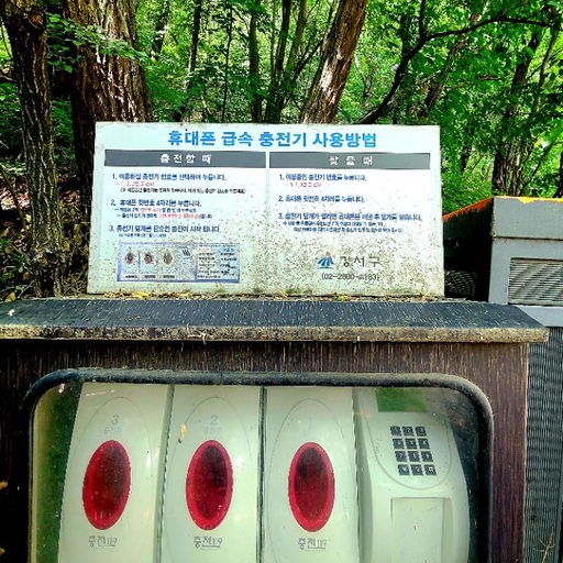 피드 이미지
