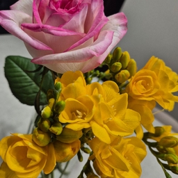 피드에 업로드 된 이미지