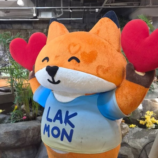 피드 이미지