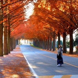 피드에 업로드 된 이미지