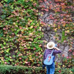 피드에 업로드 된 이미지