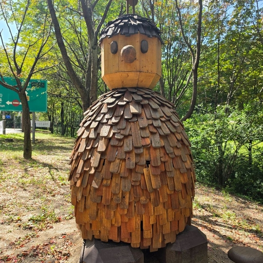 피드 이미지