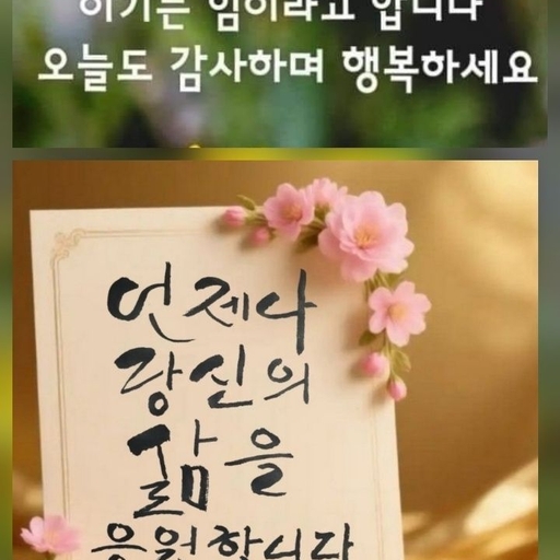 피드 이미지