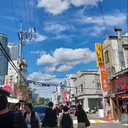 피드 이미지
