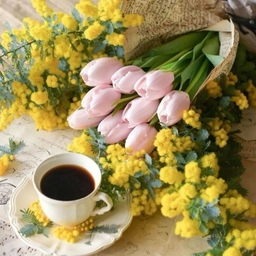 ํผ๋์ ์
๋ก๋ ๋ ์ด๋ฏธ์ง