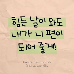 피드에 업로드 된 이미지