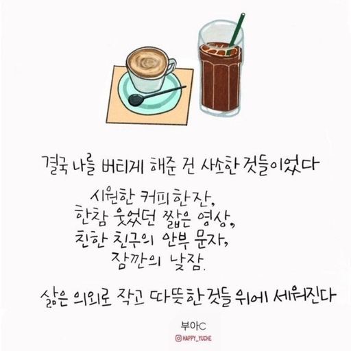 피드 이미지