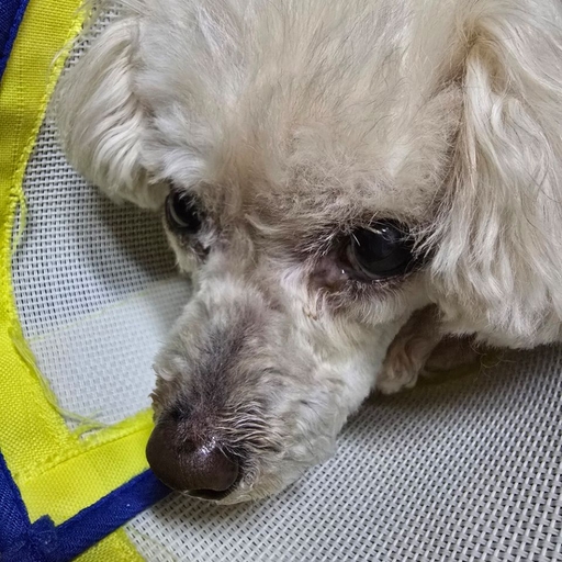 피드 이미지