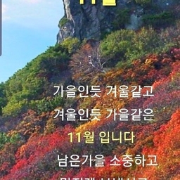 피드에 업로드 된 이미지