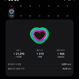 피드에 업로드 된 이미지