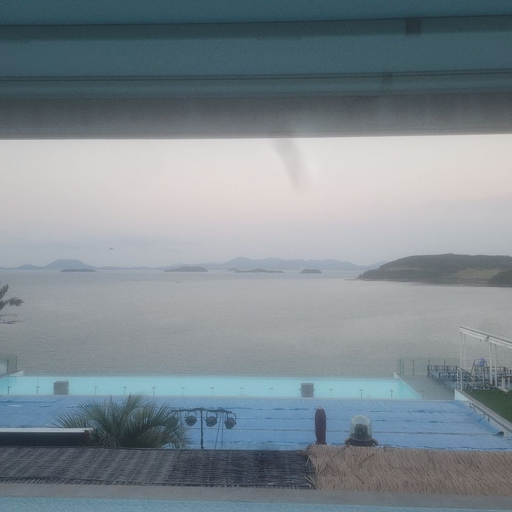 피드 이미지