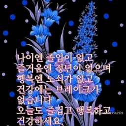 피드에 업로드 된 이미지