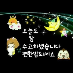 피드에 업로드 된 이미지