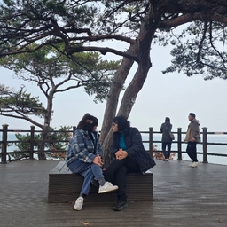 피드에 업로드 된 이미지