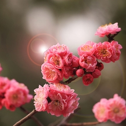 피드에 업로드 된 이미지