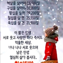 피드에 업로드 된 이미지