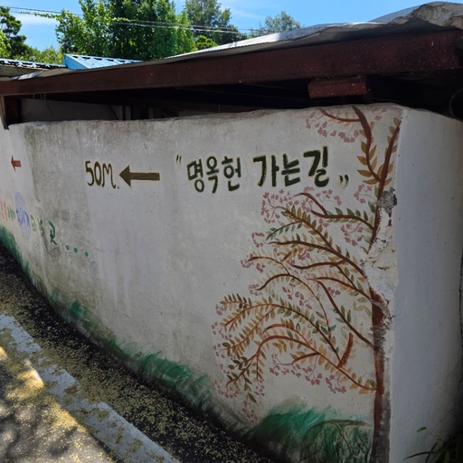 피드 이미지