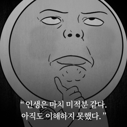 피드 이미지