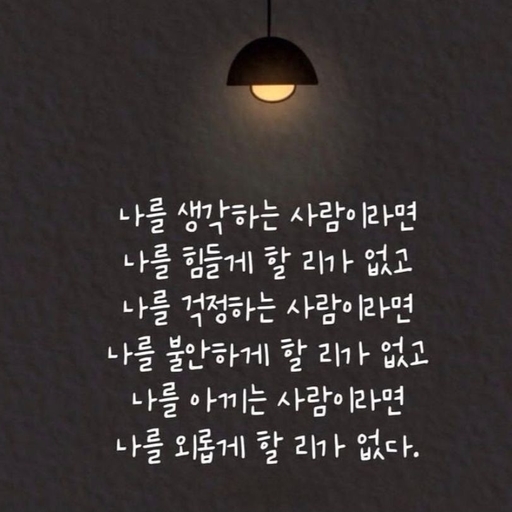 피드 이미지