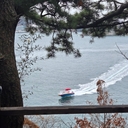 피드 작성자 프로필