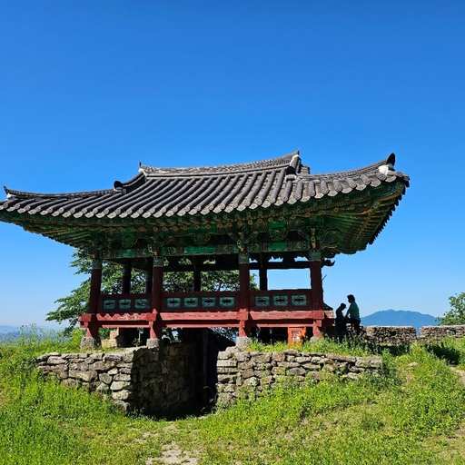 피드 이미지