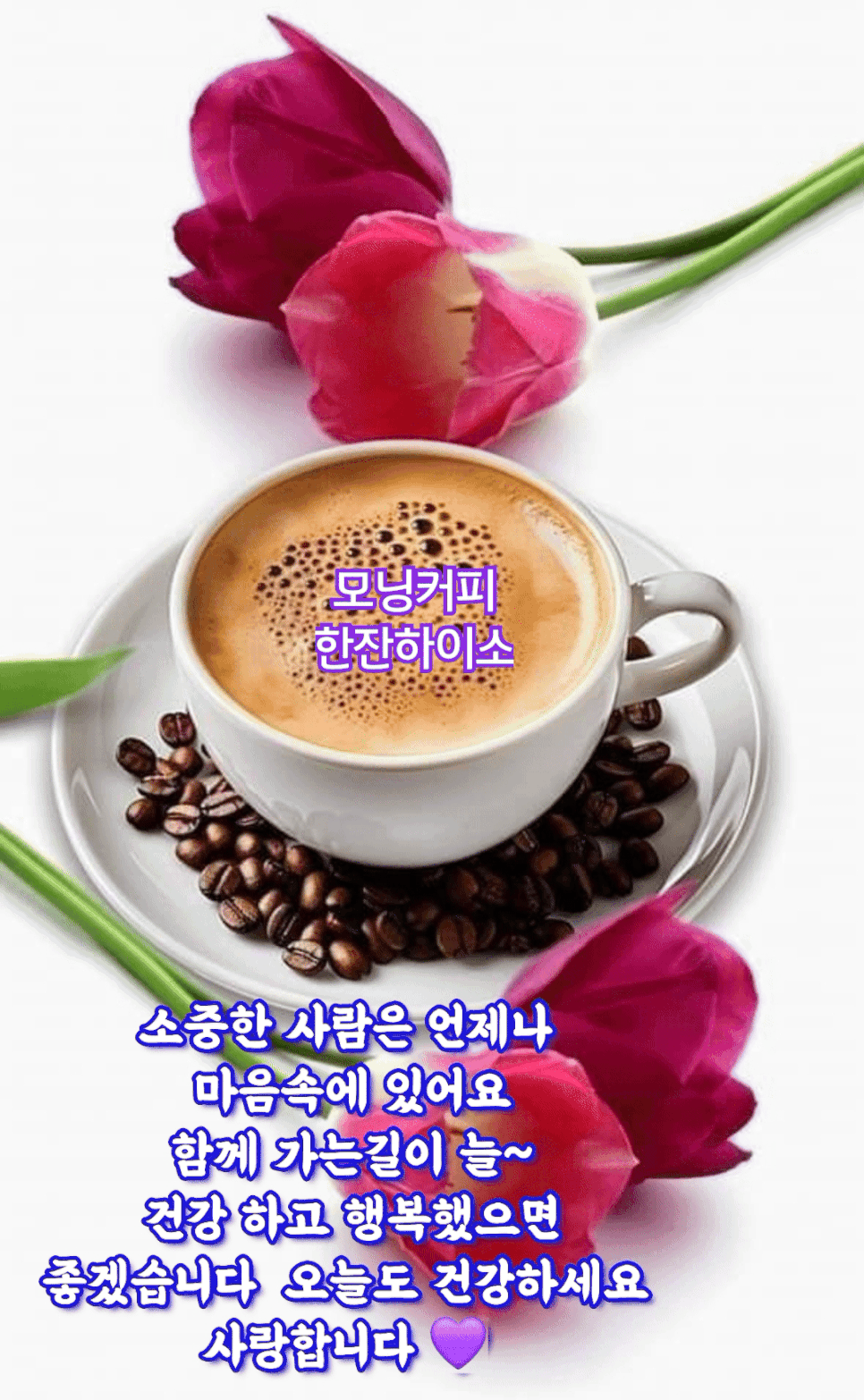 피드에 업로드 된 이미지