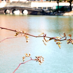 피드에 업로드 된 이미지