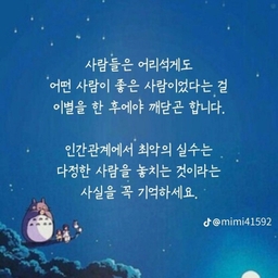 피드에 업로드 된 이미지