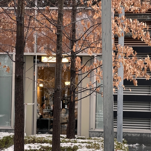 피드 이미지