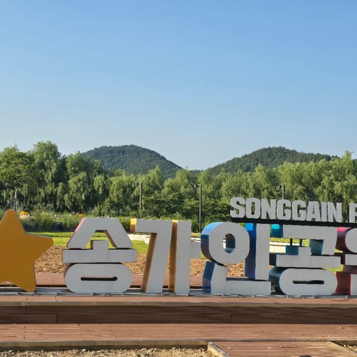 피드 이미지