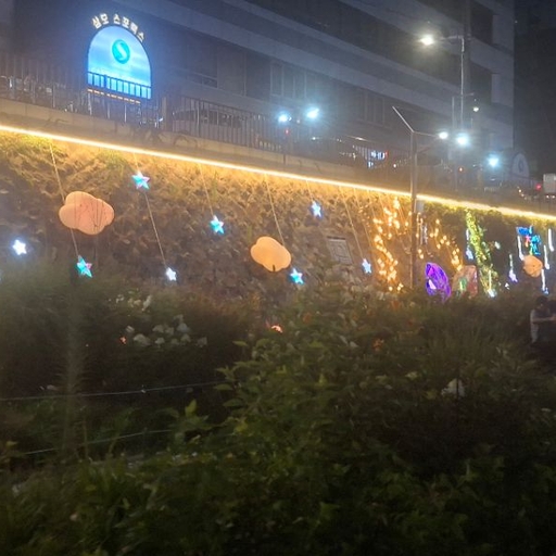 피드 이미지