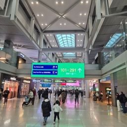 피드에 업로드 된 이미지