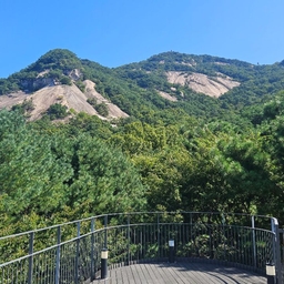 피드에 업로드 된 이미지
