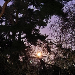 피드에 업로드 된 이미지