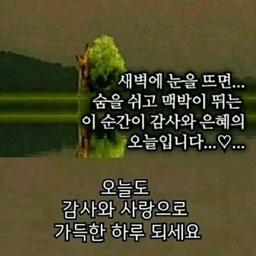 피드에 업로드 된 이미지