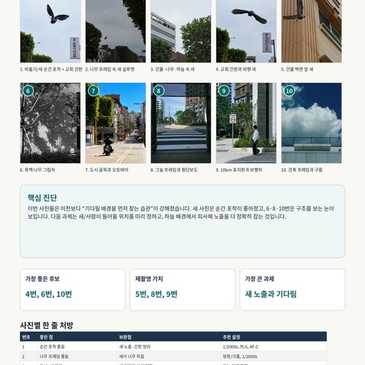 피드 이미지
