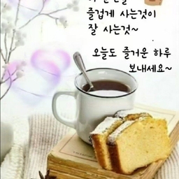 피드에 업로드 된 이미지