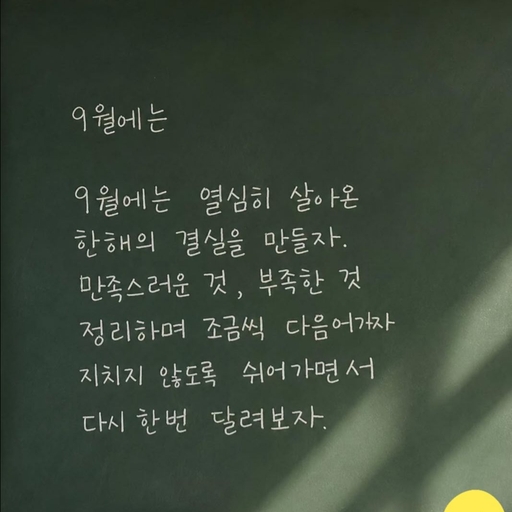 피드 이미지