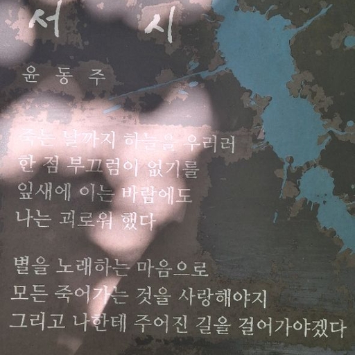 피드 이미지