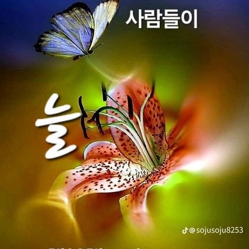 피드 이미지