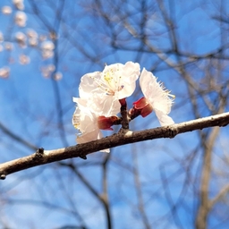 피드에 업로드 된 이미지